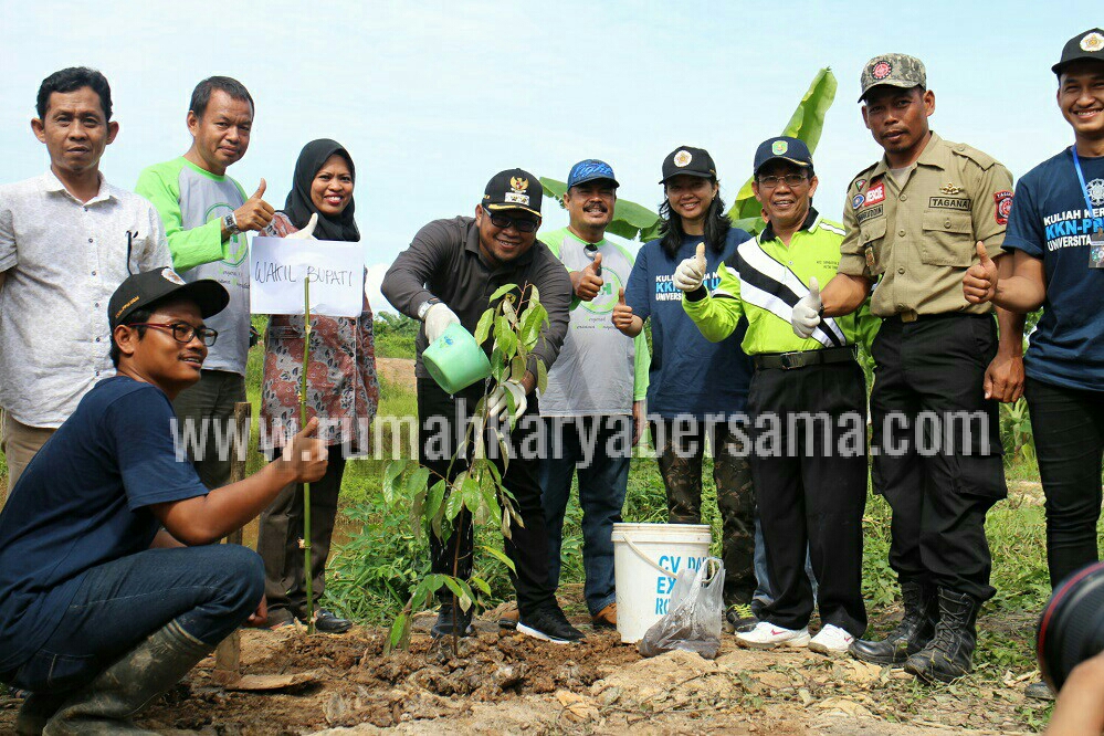 LogoLicious 20180811 121636