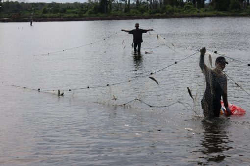 WhatsApp Image 2019 01 30 at 16.45.09