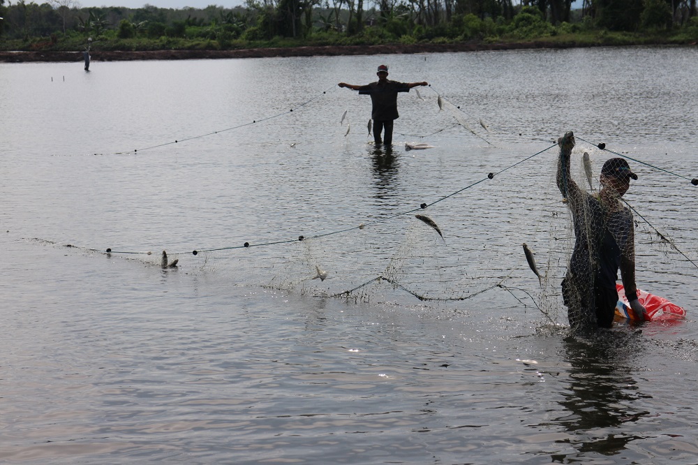 WhatsApp Image 2019 01 30 at 16.45.09