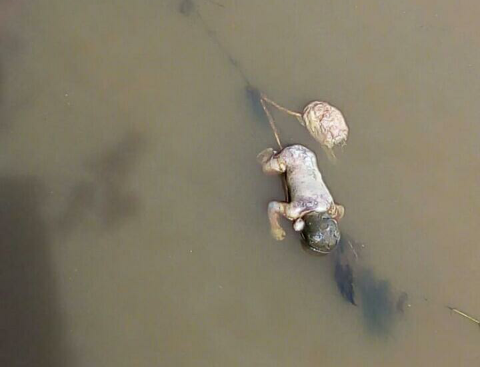 Screenshot 2019 02 05 11 25 41 1