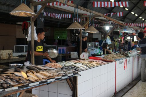 WhatsApp Image 2019 02 03 at 11.11.35