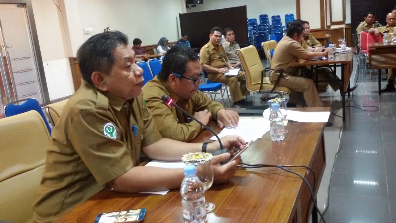 WhatsApp Image 2019 02 12 at 14.15.55