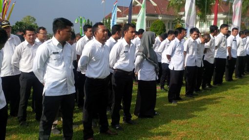 WhatsApp Image 2019 02 12 at 15.51.34