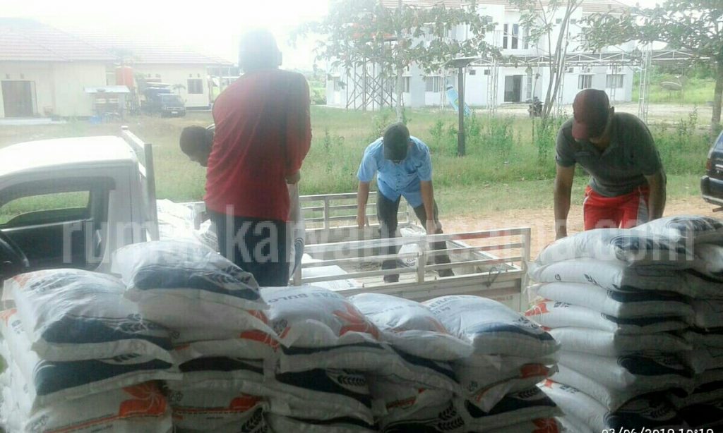 LogoLicious 20190314 143830