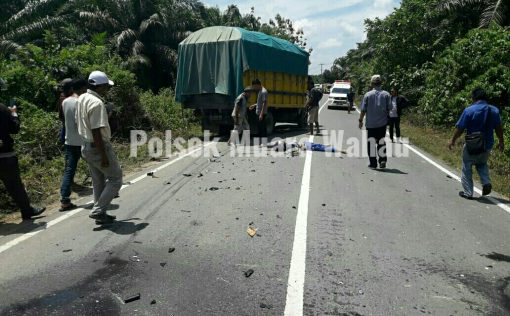 LogoLicious 20190327 202439