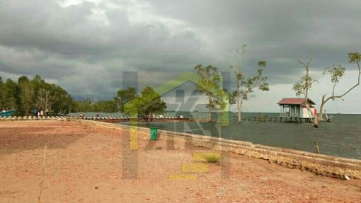 LogoLicious_20190411_184642 LogoLicious 20190411 184642