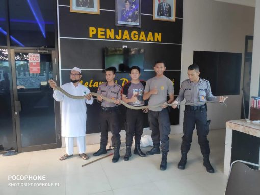 IMG 20190528 WA0014