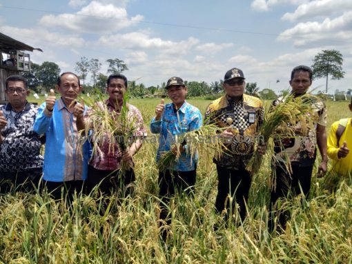IMG 20190829 WA0021