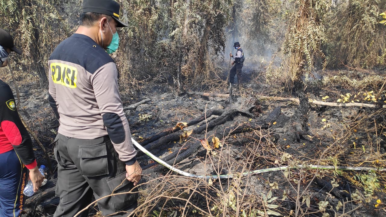 0B04B63A 64CF 44EA B6F4 371D39B9C379