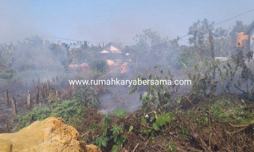 IMG-20190916-WA0029 IMG 20190916 WA0029