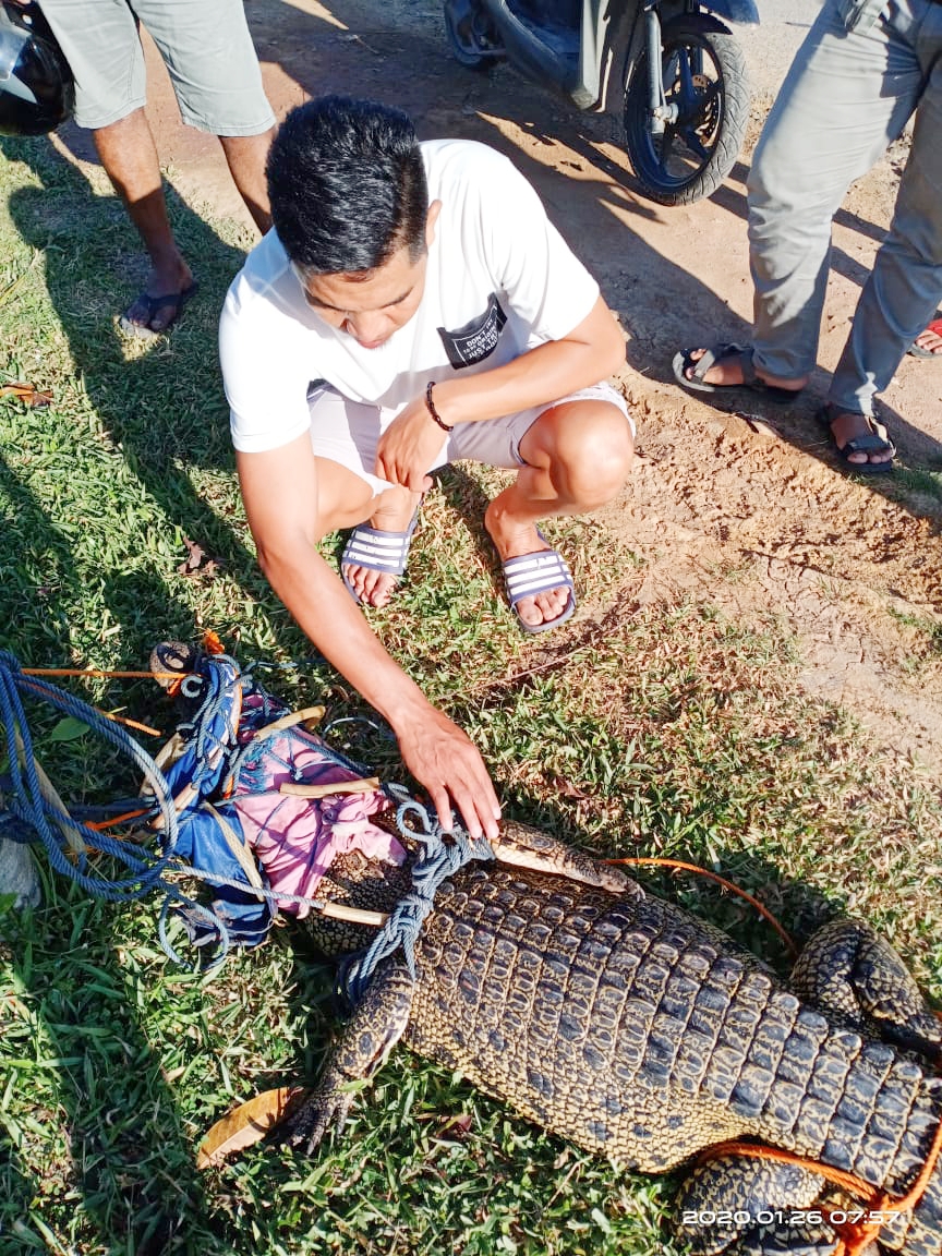 99181436 E810 47E9 A65F 4909CFED94C4