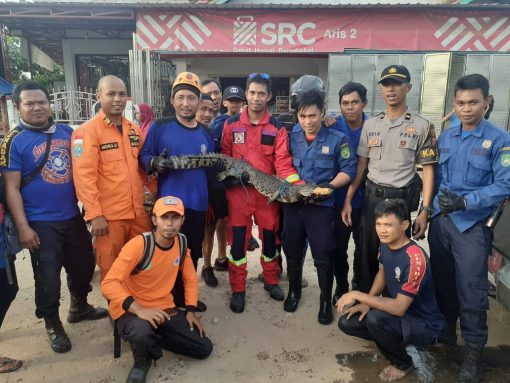 IMG 20200115 WA0015