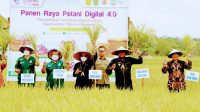IMG 20220825 WA0019