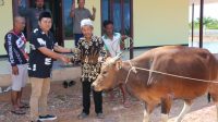 Budi Bulang Serahkan Bantuan 1 Sapi Qurban ke Masjid Al-Amin